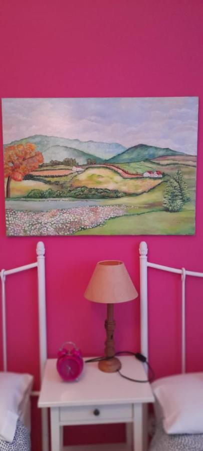 Monteperdido Jaca Appartement Buitenkant foto